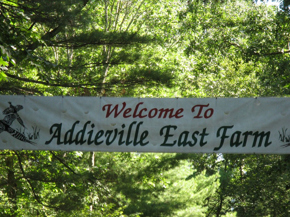 Addieville2011 000.jpg